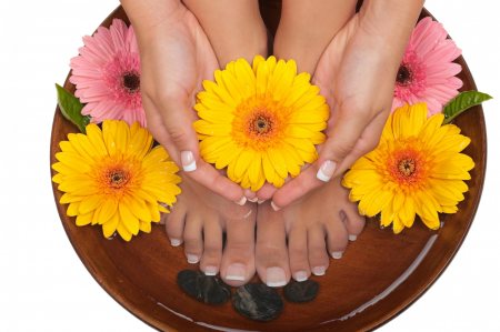 Wellness leonis nails and hair